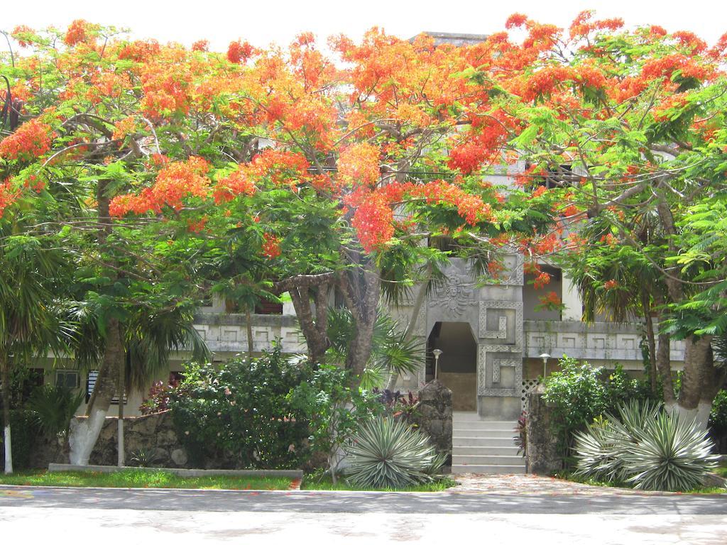 Apartamento Condumel Cozumel Habitación foto